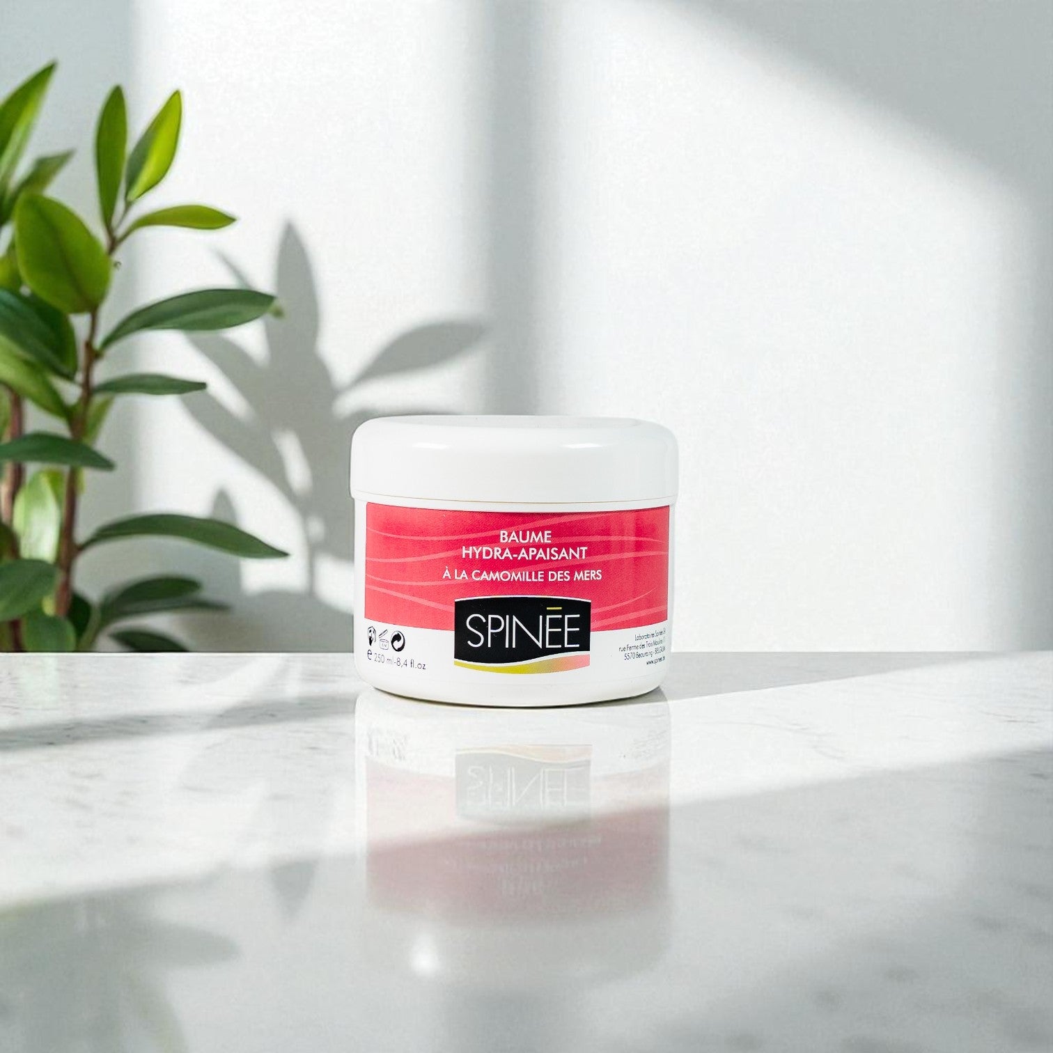 Baume Hydra-Apaisant 250 ml Spinée