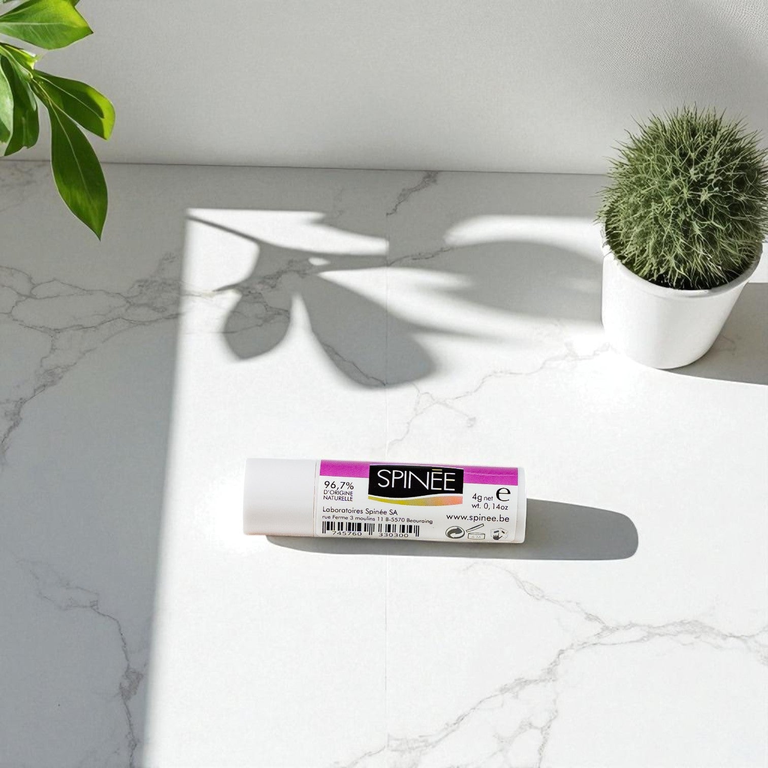 Baume Protecteur Lèvres Coco Vanille 4g Spinée