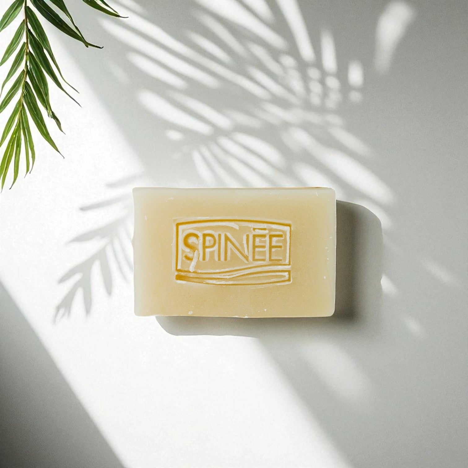 Savon Solide Surgras Spinée